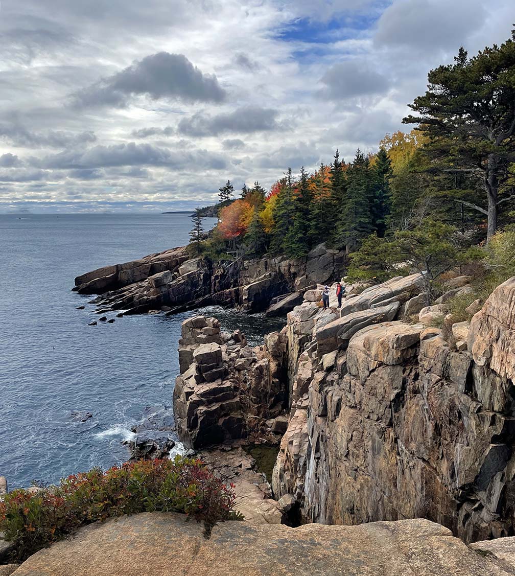 Acadia in the Fall