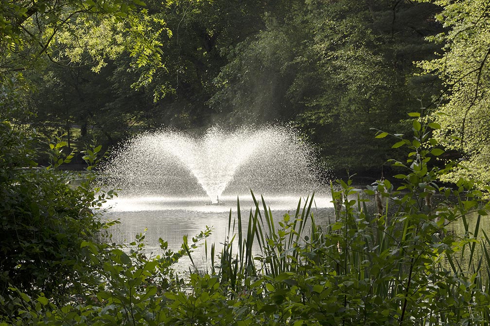 Water fountain at Glen Lake