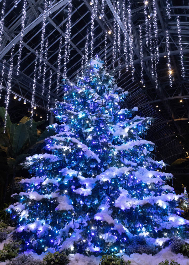 Inside Main conservatory at Longwood Gardens