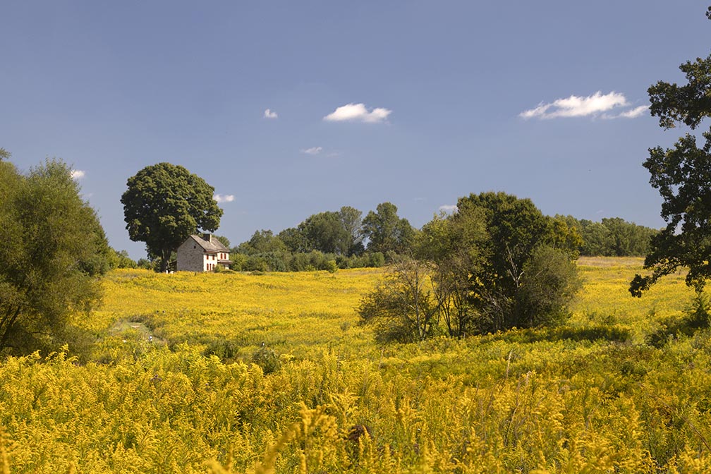 Longwood Gardens meadow