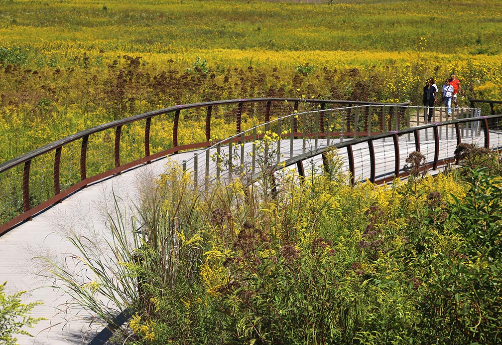 Meadow bridge Longwood