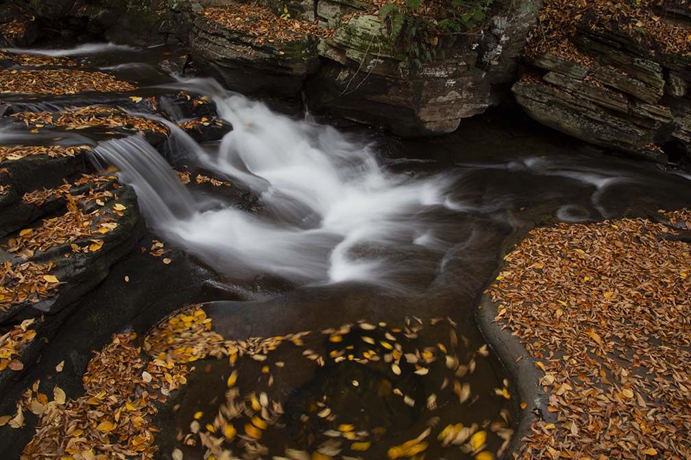 Ricketts Glen in 2015