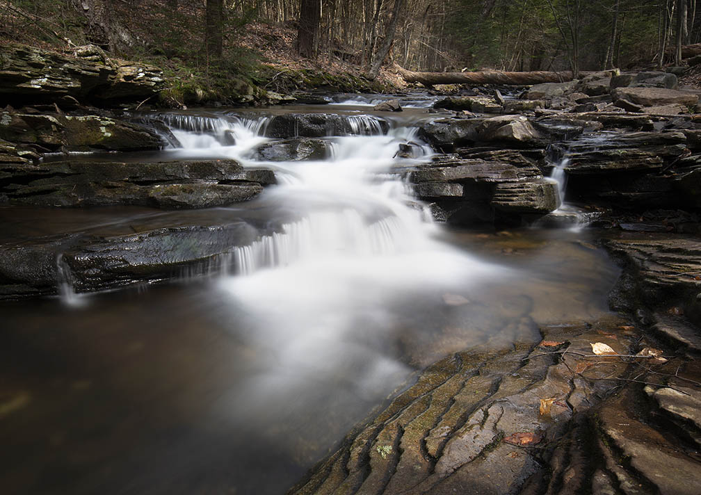 April 2021 Ricketts Glen Cascade