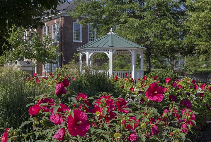 Rowan University flowers near Bunce Hall