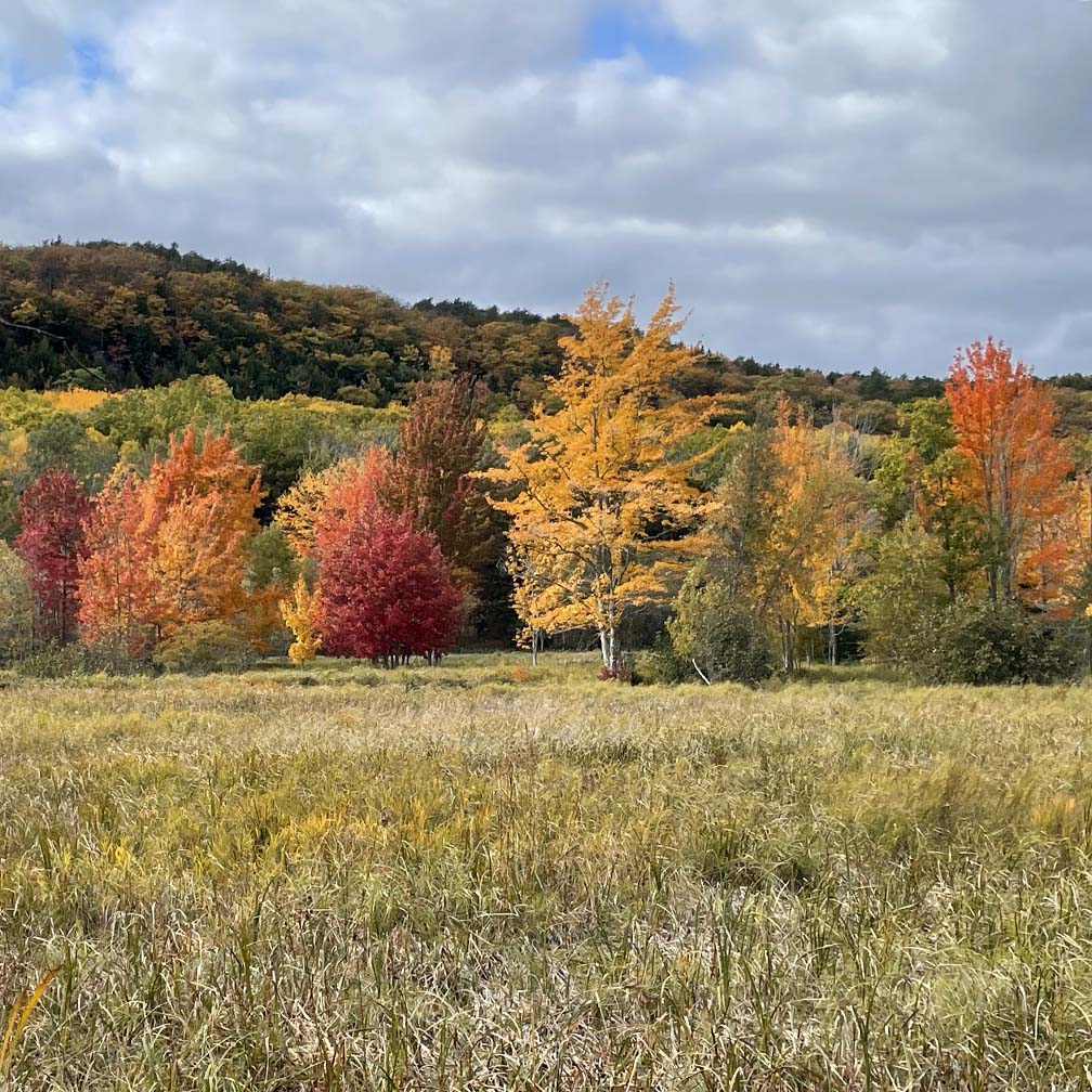 Cropped Acadia photo 1