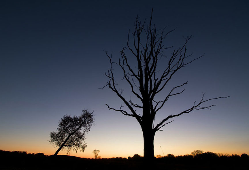 Sunrise Silhouette at Valley Forge