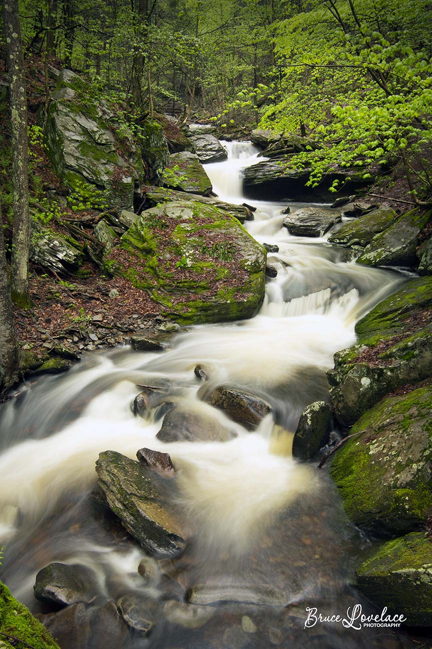 Ricketts Glen Vertical Cascade