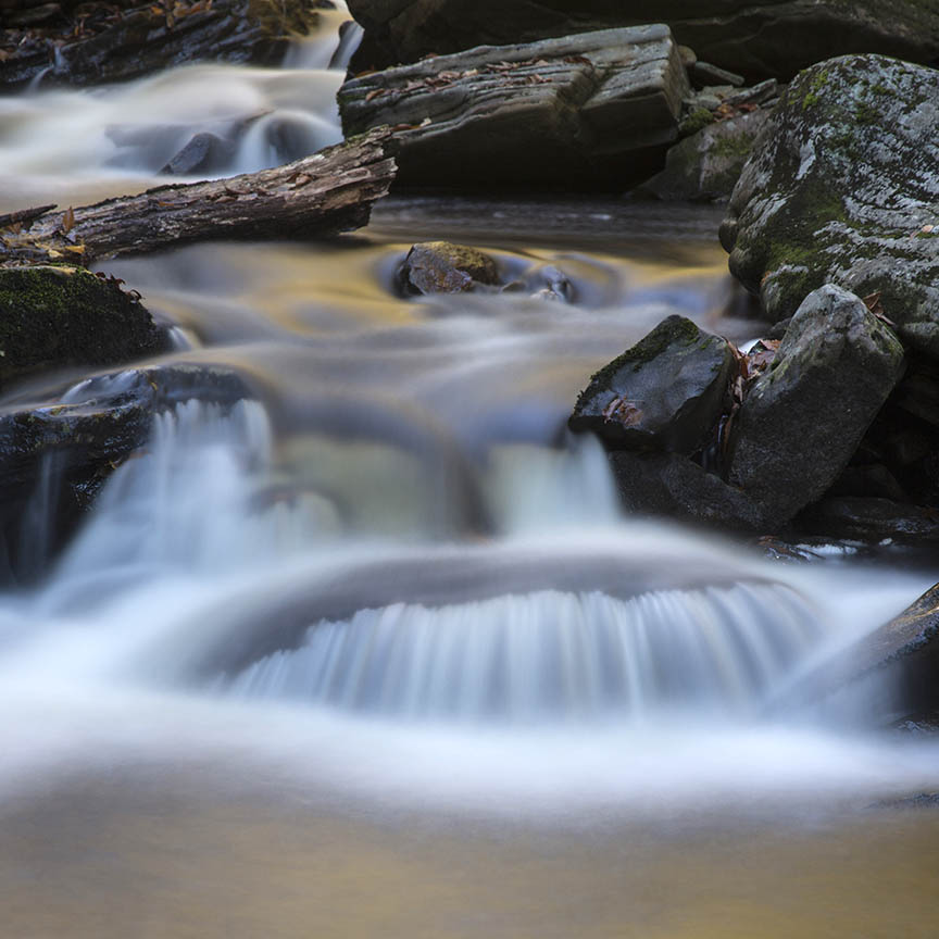 Hidden face at Ricketts Glen