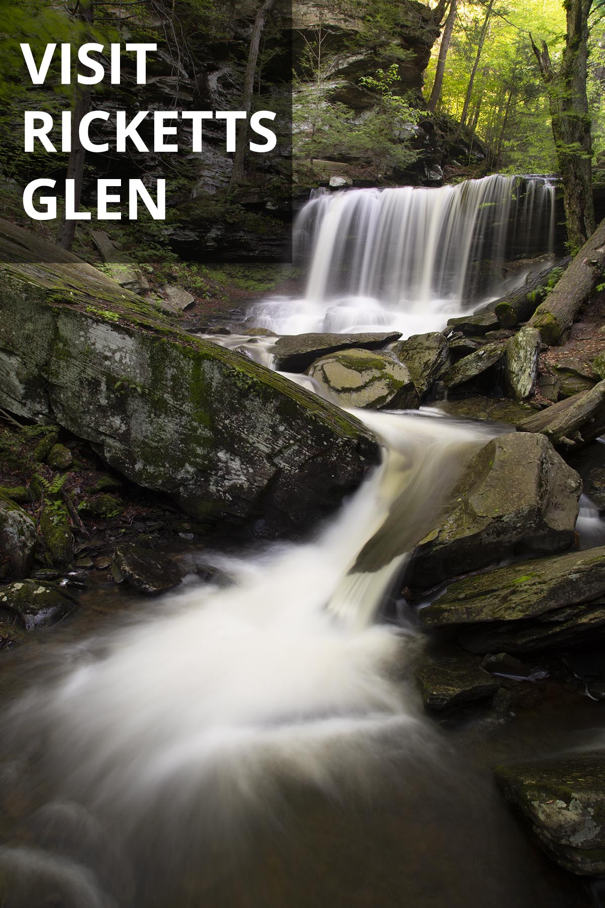 Visit Ricketts Glen on Pinterest