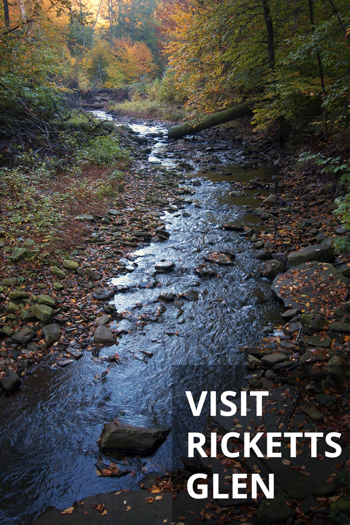 Ricketts Glen on Pinterest