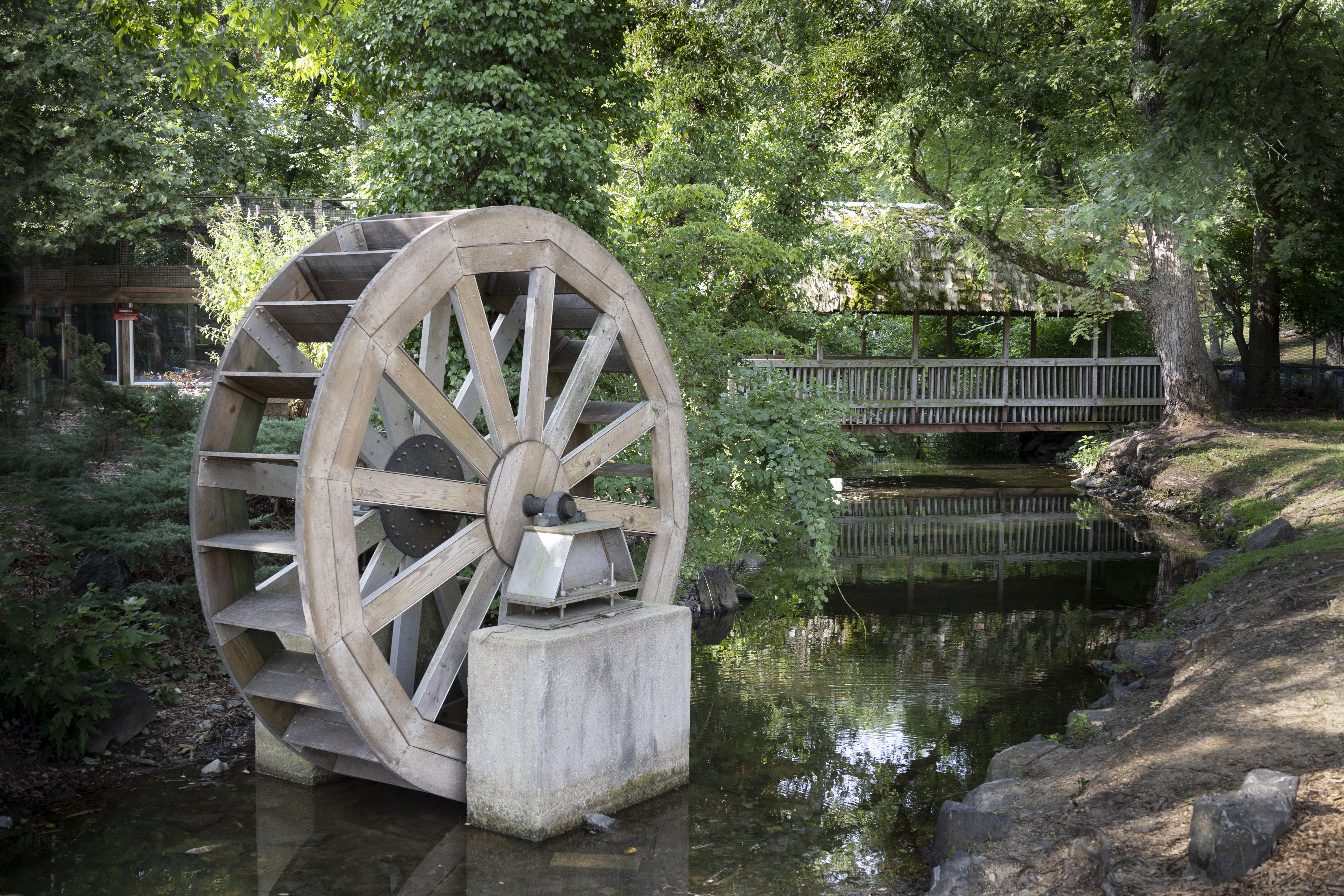 Water Wheel at Cohanzick