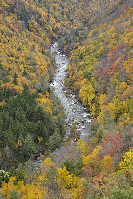 Elevated View of<br>The Blackwater River<br><br>