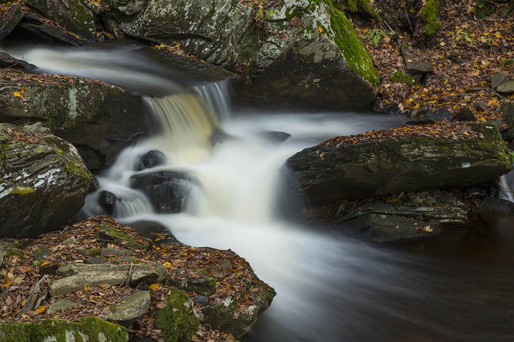 Ricketts Glen in 2017