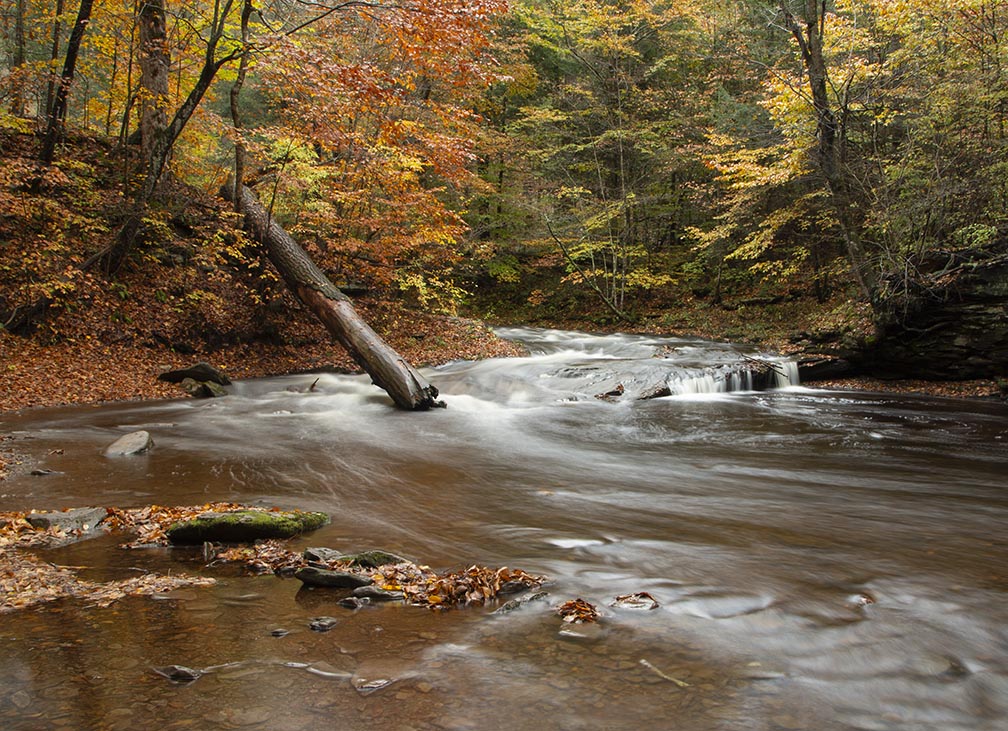 Without Polarizing Filter