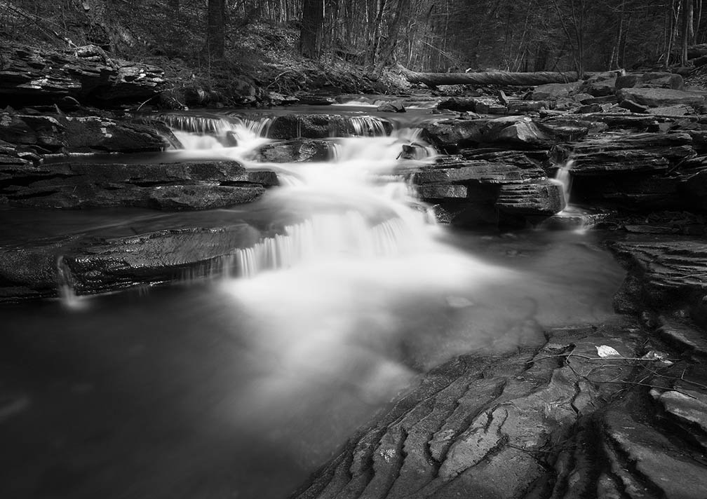 Ricketts Glen Cascade in black and white