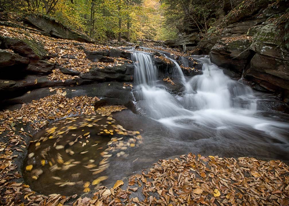 Ricketts Glen 2015 eddy